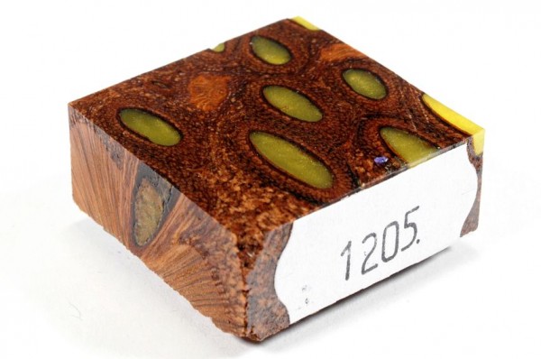 Banksiazapfen in Kunstharz für Ringe