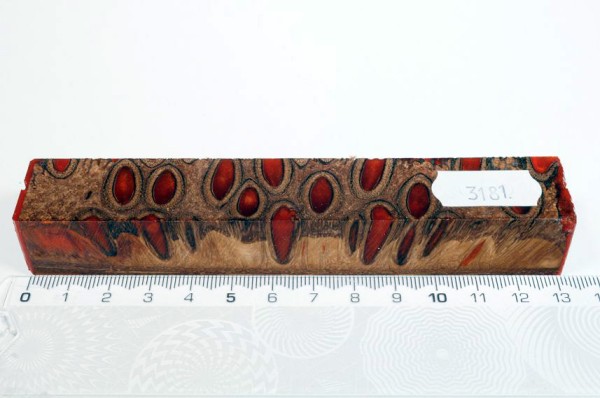 Banksiazapfen in Kunstharz - Orange - 13 cm