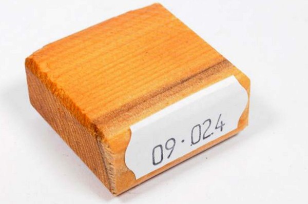 Ring Blank aus Holz - Eibe