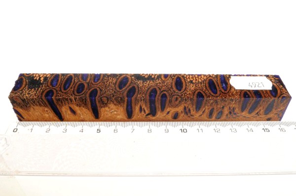 Banksiazapfen in Kunstharz