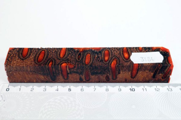 Banksiazapfen in Kunstharz - Orange - 13 cm