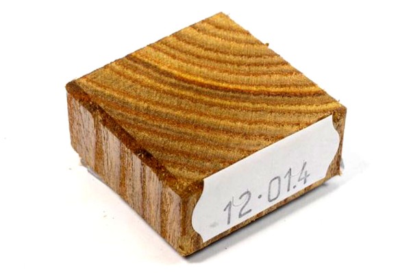 Ring Blank aus Holz - Essigbaum
