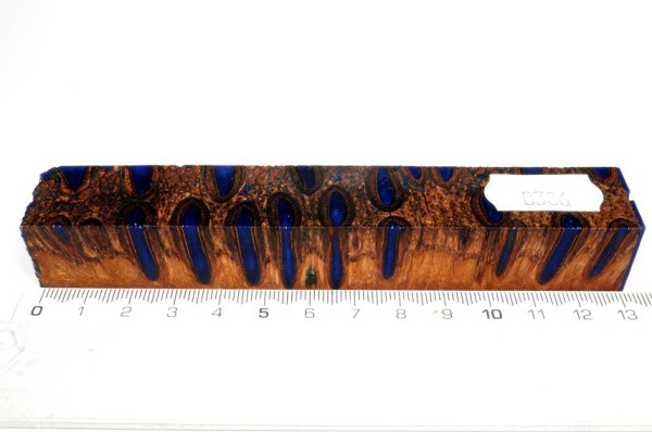 Banksiazapfen in Kunstharz - Blau - 13 cm
