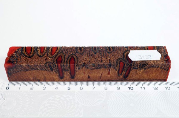 Banksiazapfen in Kunstharz - Orange - 13 cm