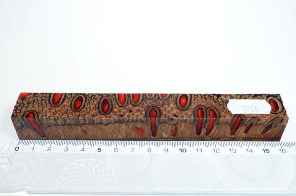 Banksiazapfen in Kunstharz - Orange - 16 cm
