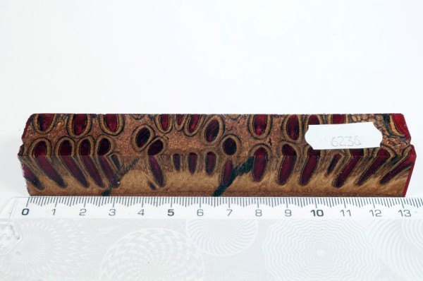 Banksiazapfen in Kunstharz - Rot - 13 cm