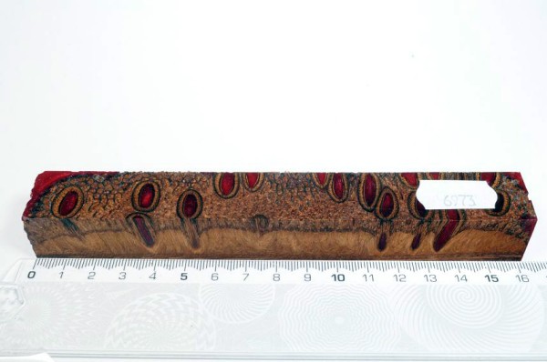 Banksiazapfen in Kunstharz - Rot - 16 cm