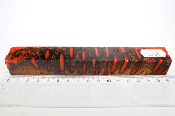 Banksiazapfen in Kunstharz - Orange - 16 cm