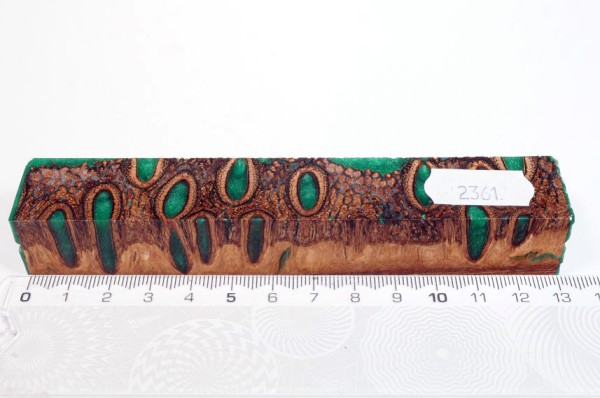 Banksiazapfen in Kunstharz - Grün - 13 cm